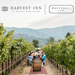 Whitehall Lane Vineyard Dinner - June 25th