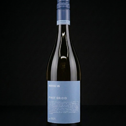 Massican Pinot Grigio