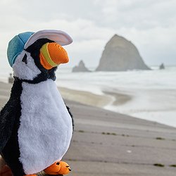 $300 towards a stay at Surfsand Resort.