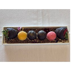 Anniversary Celebration Plate