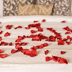 Rose Petal Service