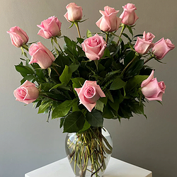 Dozen Pink Roses