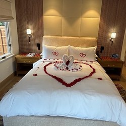 Rose Petal Turndown