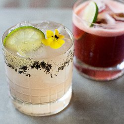 Cinco de Mayo at Harvest Table!