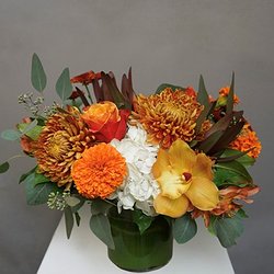 Fall Floral, Special Edition *Golden Harvest*