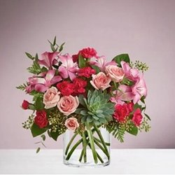 Valentine Rose Garden with Succulent