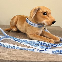 Dog Leash
