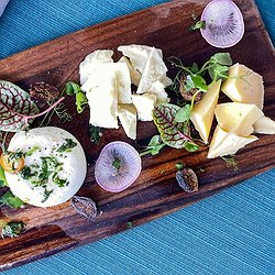 Artisanal Cheese Display