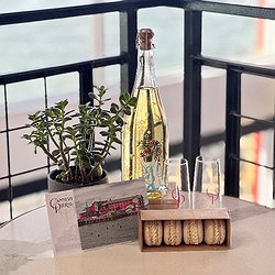 Birthdays & Bubbles Package - $80