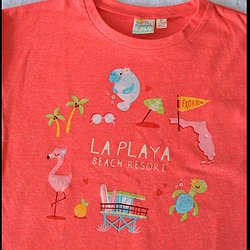 Everything Florida Youth Girl Tee