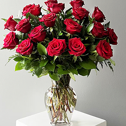 Two Dozen Red Roses